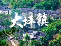 普宁市大坪镇总体规划出炉，两区域三片区多产业助推发展！